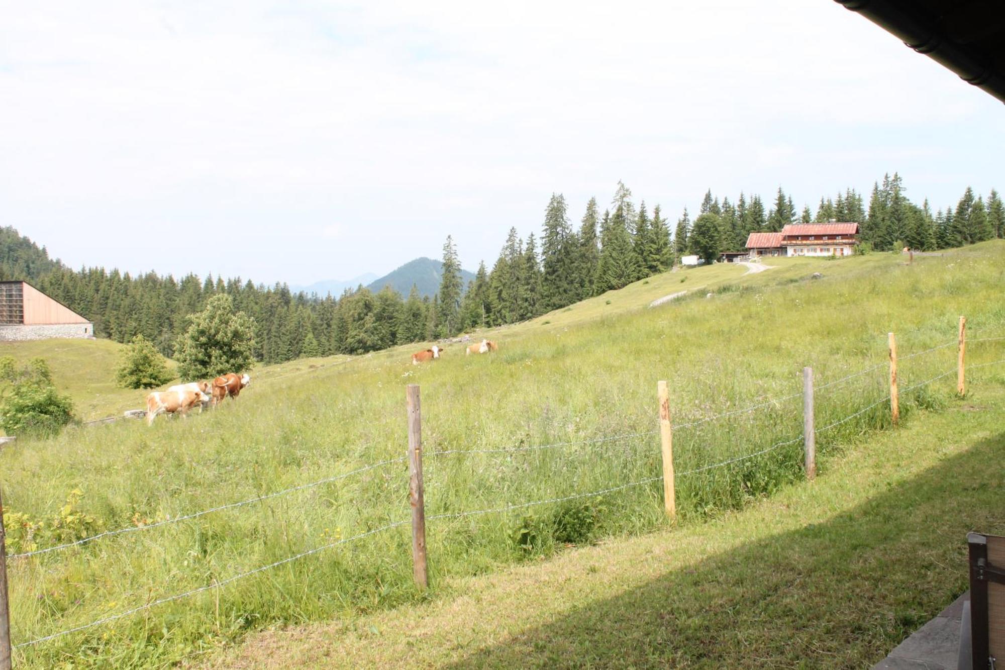 Winklmoos Sonnenalm Hotel Reit im Winkl Eksteriør billede